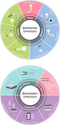 Tackling Current Biomedical Challenges With Frontier Biofabrication and Organ-On-A-Chip Technologies